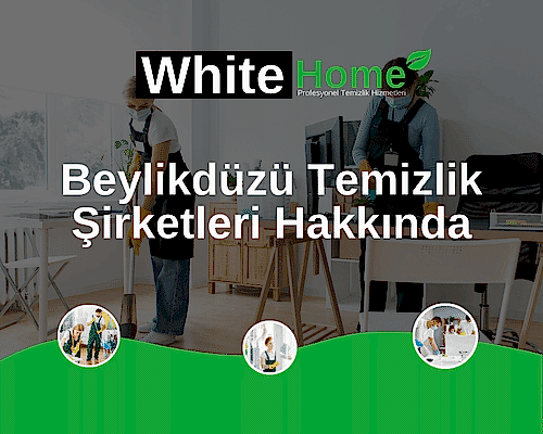 Beylikdüzü Temizlik Şirketleri Hakkında