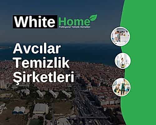 Avcılar Temizlik Şirketleri